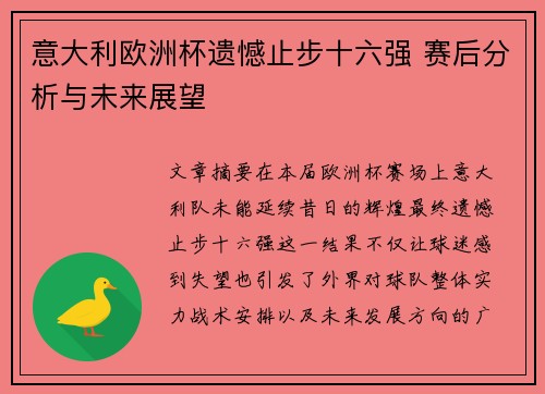 意大利欧洲杯遗憾止步十六强 赛后分析与未来展望